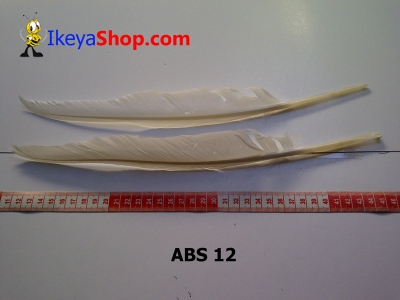 bulu angsa besar ABS 12   feather  large2